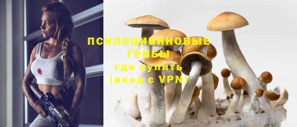 дурь Дмитров