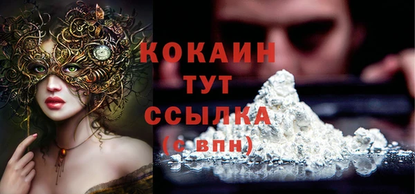 метадон Дмитриев