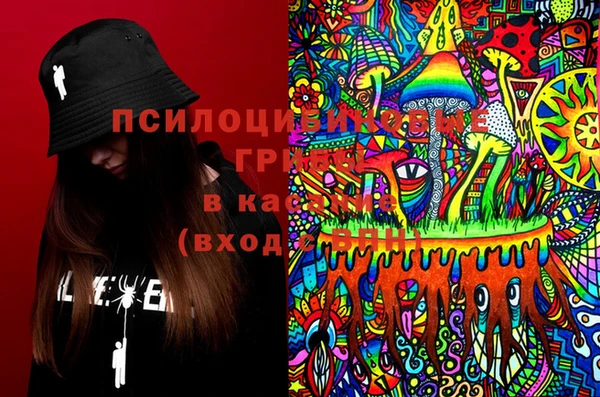 метадон Дмитриев