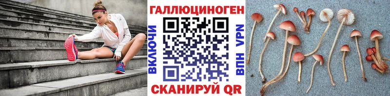 Псилоцибиновые грибы Cubensis  как найти наркотики  Октябрьский 